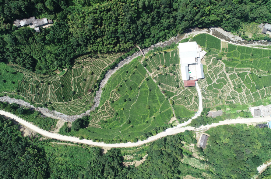 紫阳富硒茶哪地方好