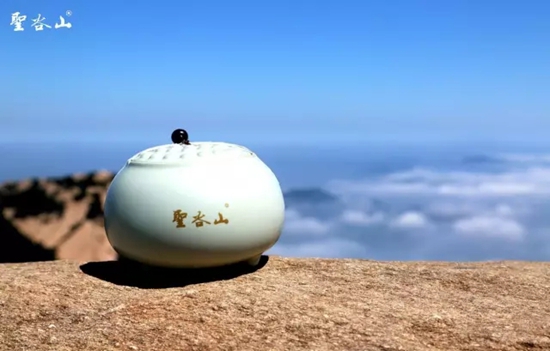 日照绿茶富硒明前茶