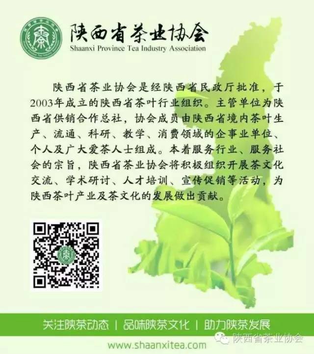 紫阳富硒茶安康闽秦