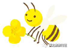 高山流水野生富硒茶
