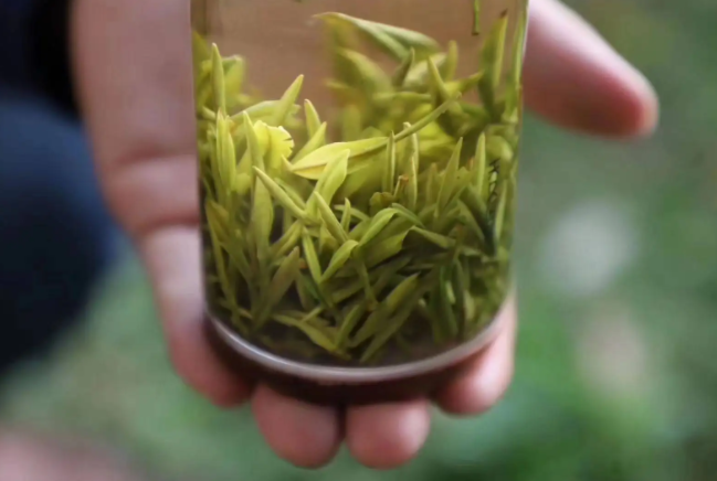 非富硒茶有哪些品种