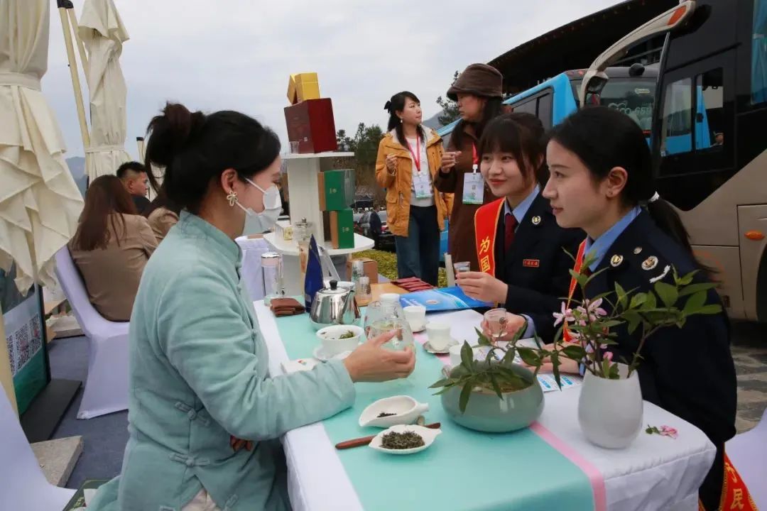 紫阳富硒茶优惠政策