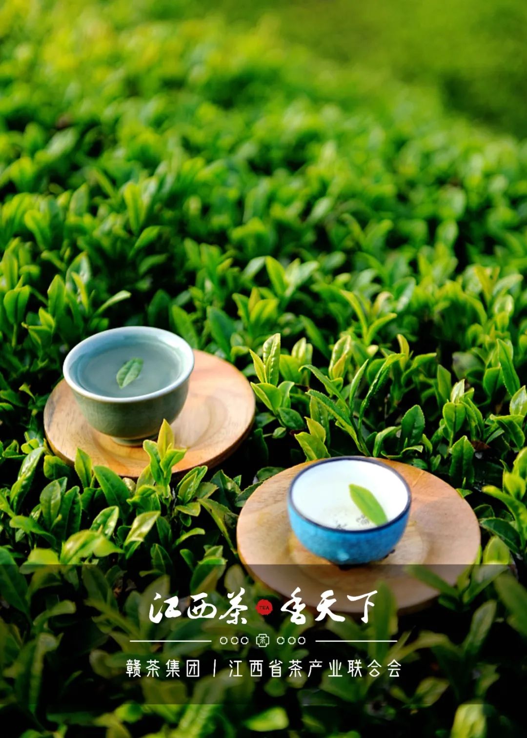 富硒茶国际市场现状