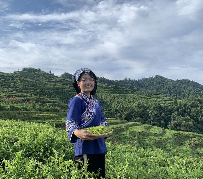 莓茶哪个部分富硒好