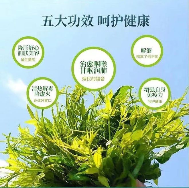 莓茶哪个部分富硒好