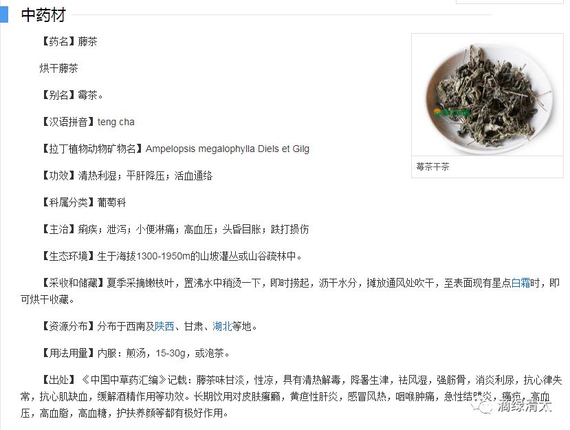 富硒藤茶哪个品牌好