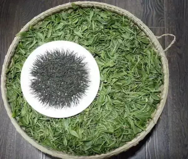 玉露是不是富硒茶类