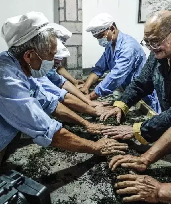 玉露是不是富硒茶类