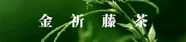 富硒藤茶哪个品牌好