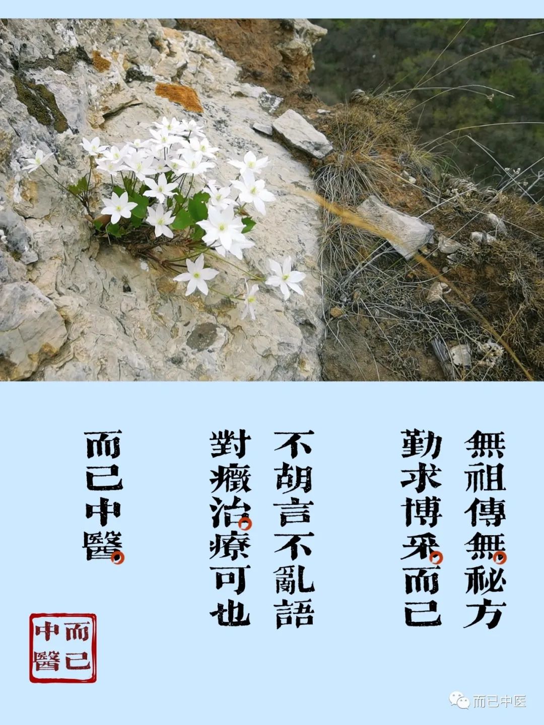 江苏质量好的富硒茶