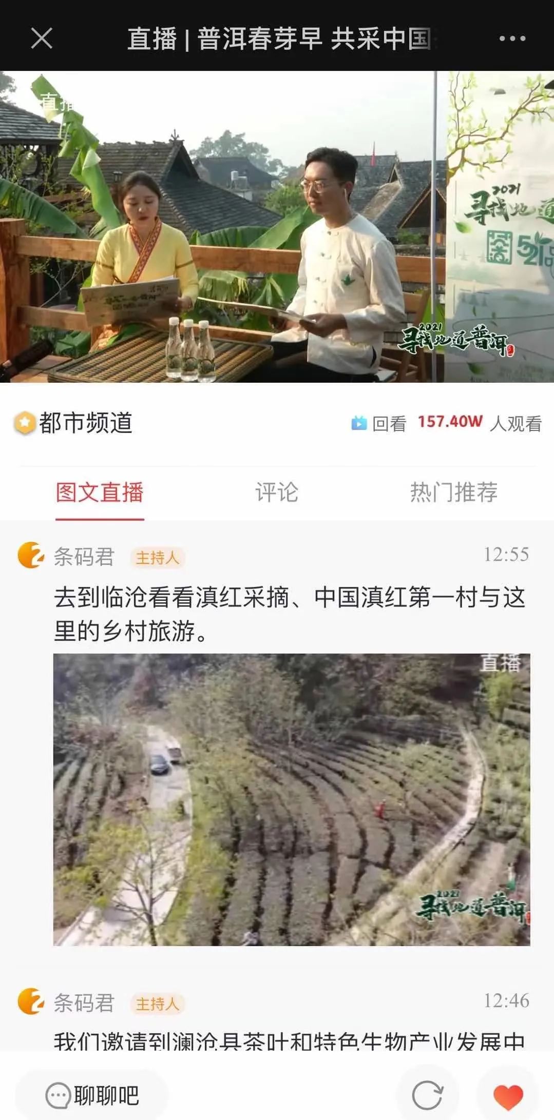 中国最大富硒古树茶