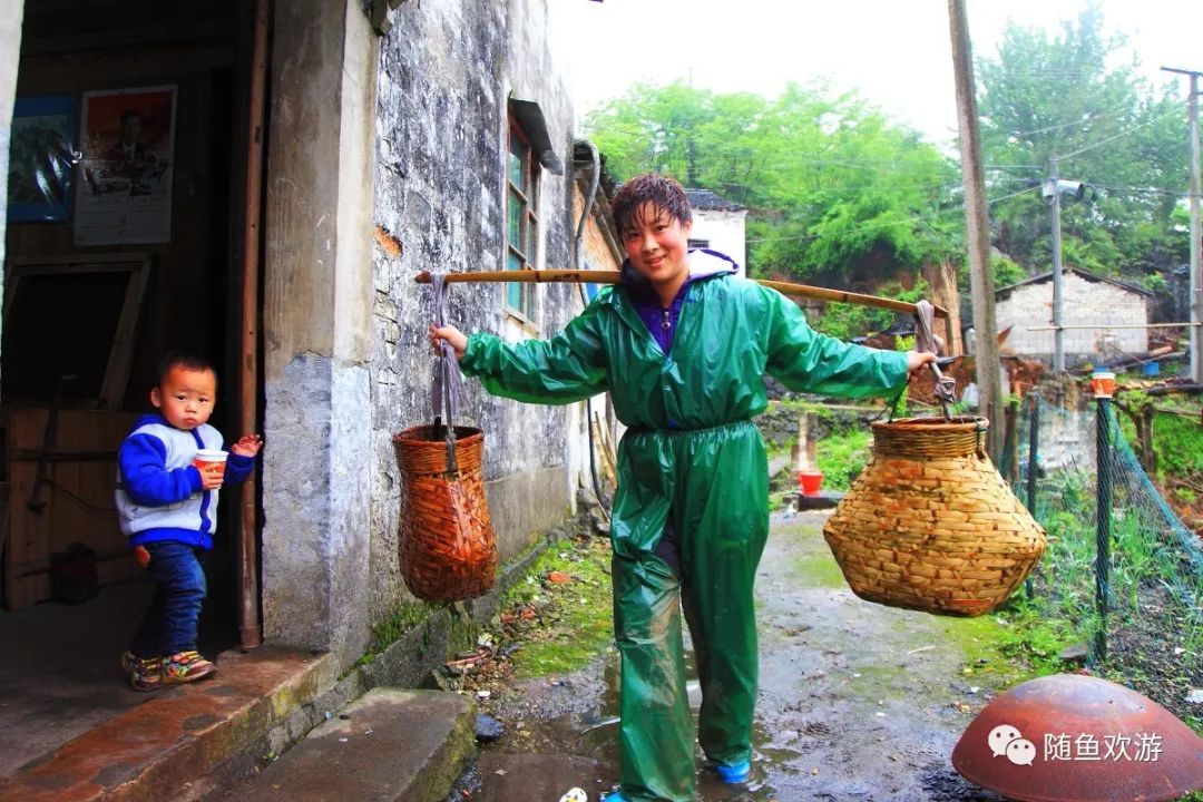 明前高山有机富硒茶