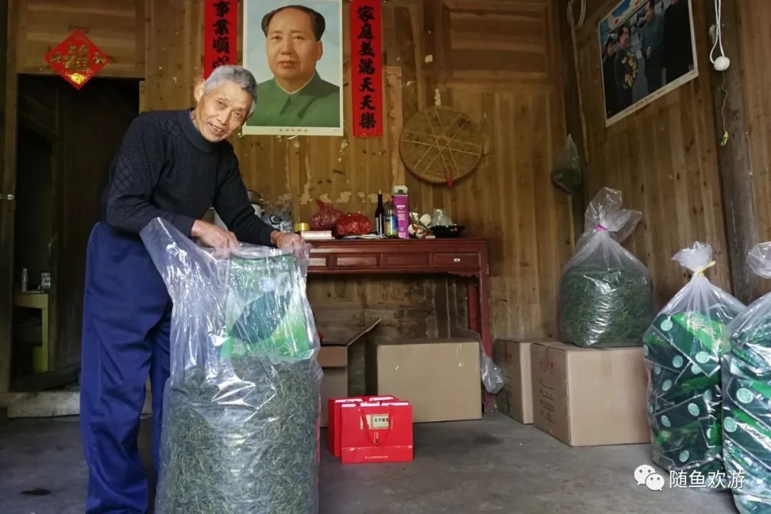 明前高山有机富硒茶