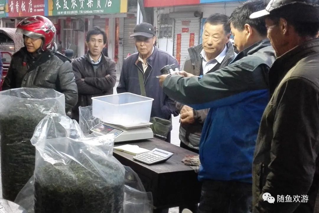 明前高山有机富硒茶