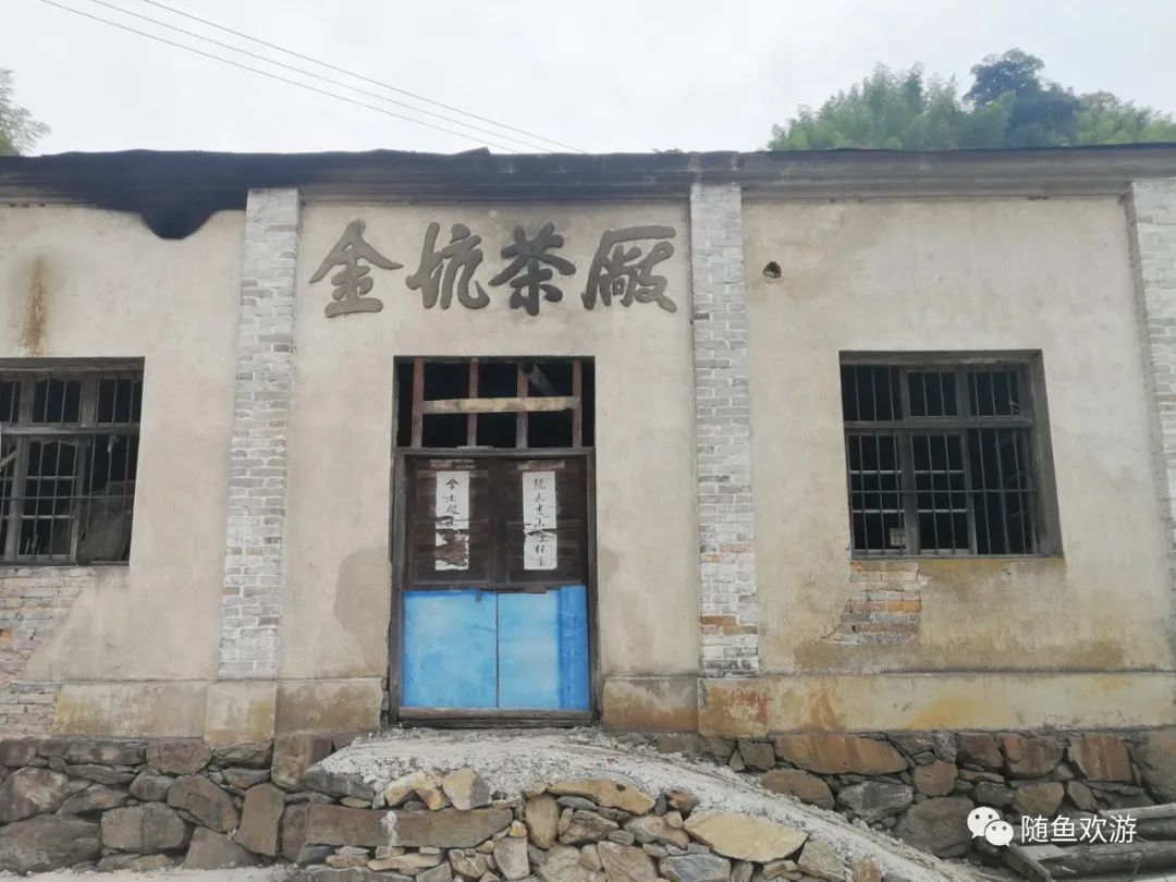 明前高山有机富硒茶