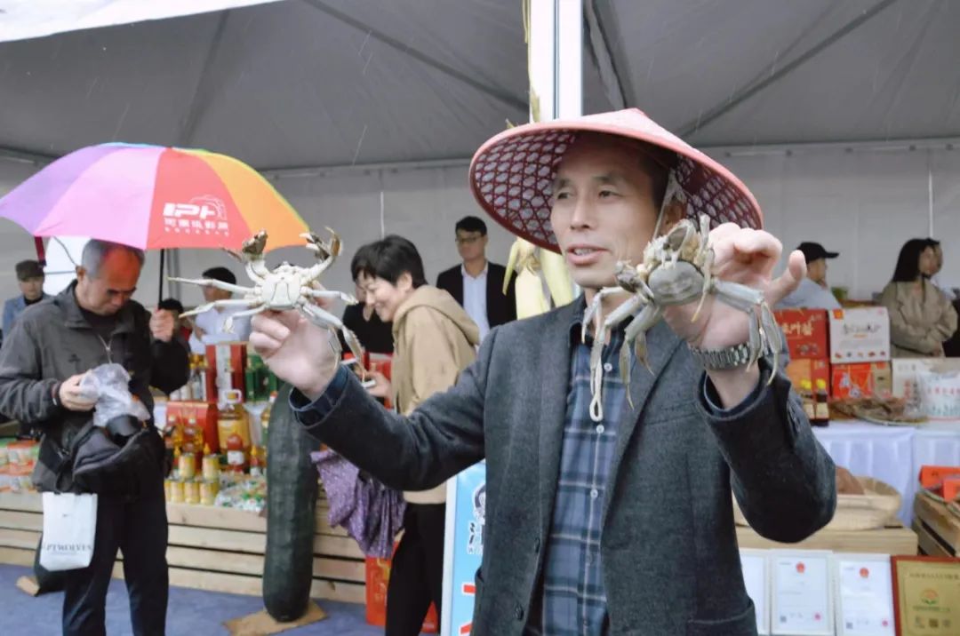 中国最大富硒古树茶