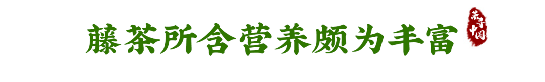 富硒恩施土家藤婆茶