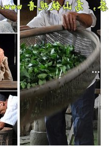重庆富硒普洱茶批发厂家