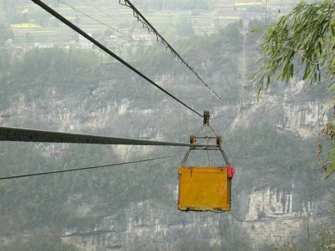 富硒野生茶是哪里的