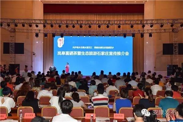 安康周林生态富硒茶