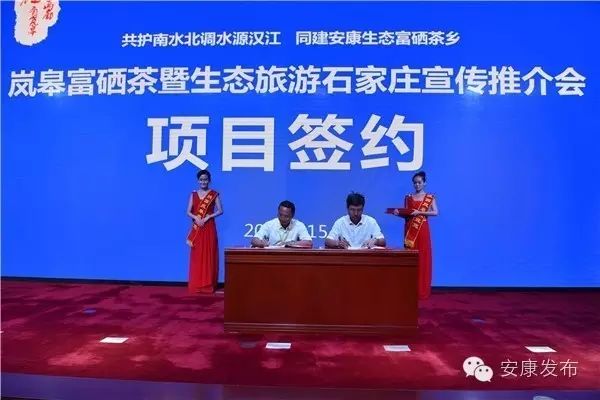 安康周林生态富硒茶