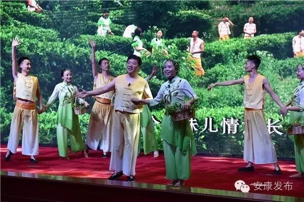 安康周林生态富硒茶