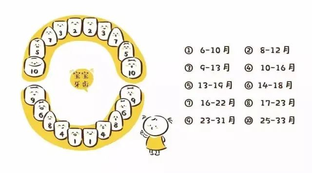 5岁孩子补钙哪种钙好