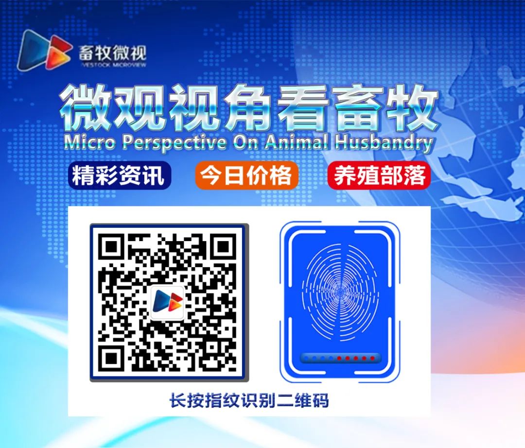 女人缺微量元素的表现