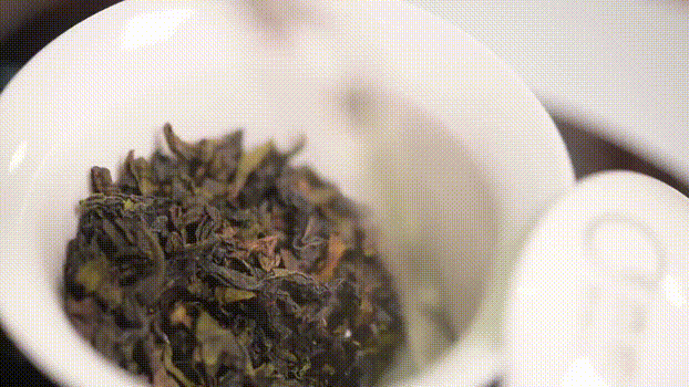 福建富硒普洱茶加工