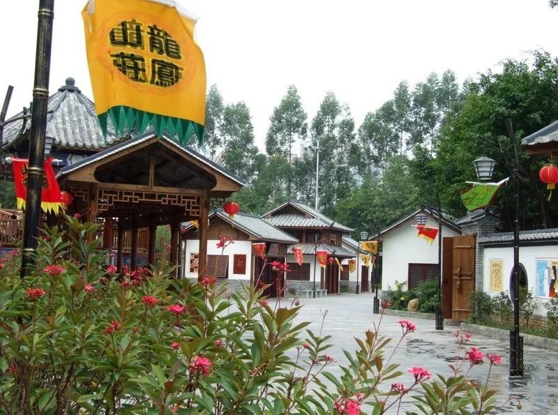 藤匠人富硒来凤藤茶