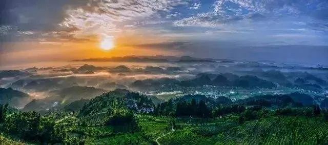 凤冈富硒茶湄潭翠芽