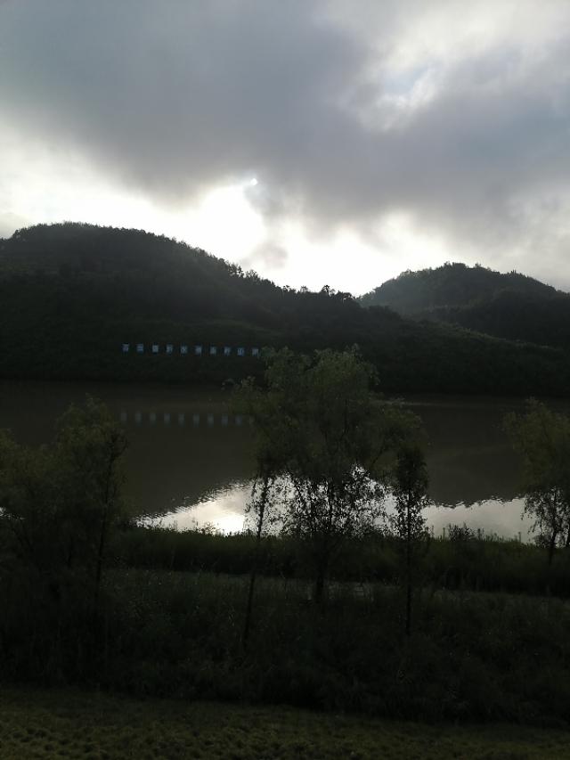 紫阳富硒茶与铁观音