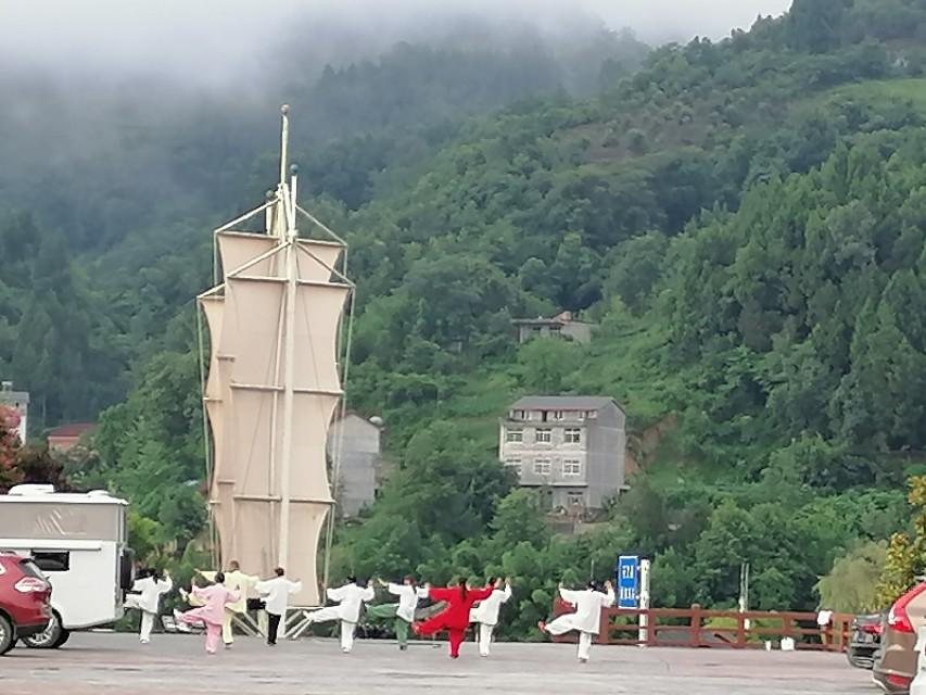 紫阳富硒茶与铁观音
