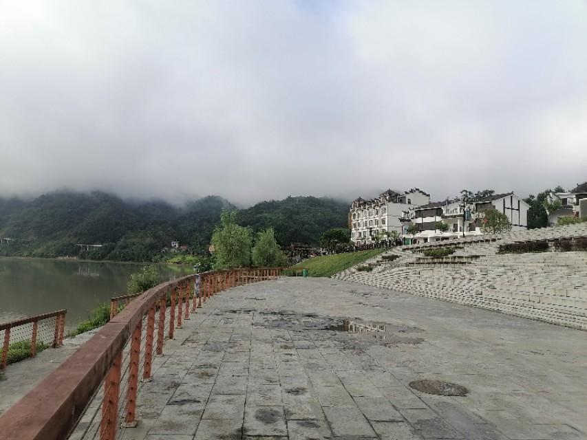 紫阳富硒茶与铁观音