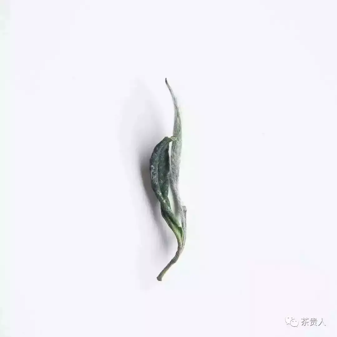 紫阳富硒茶与铁观音