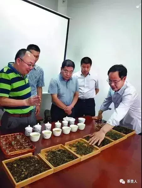 紫阳富硒茶与铁观音