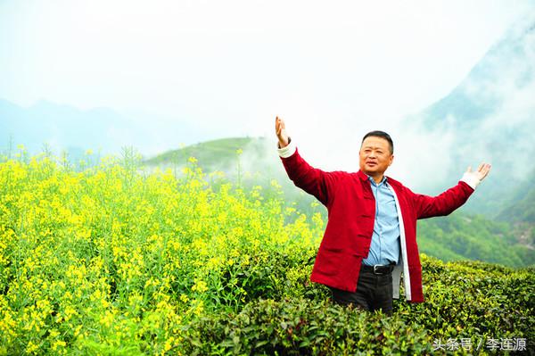 紫阳富硒茶与铁观音