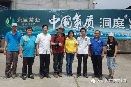 富硒藤茶价格是多少