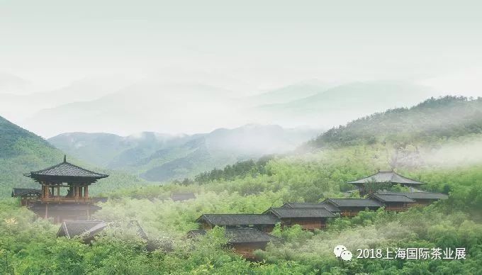 富硒藤茶价格是多少