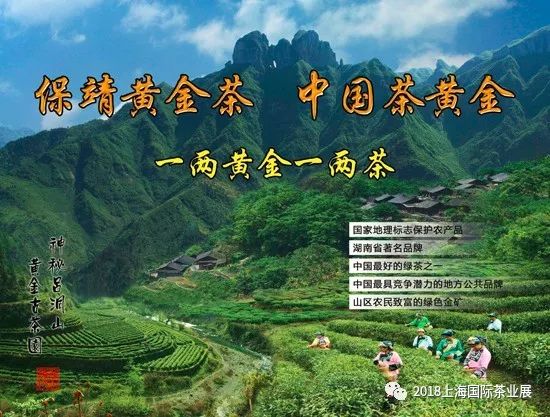富硒藤茶价格是多少