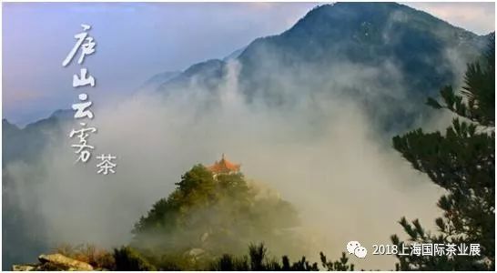 富硒藤茶价格是多少