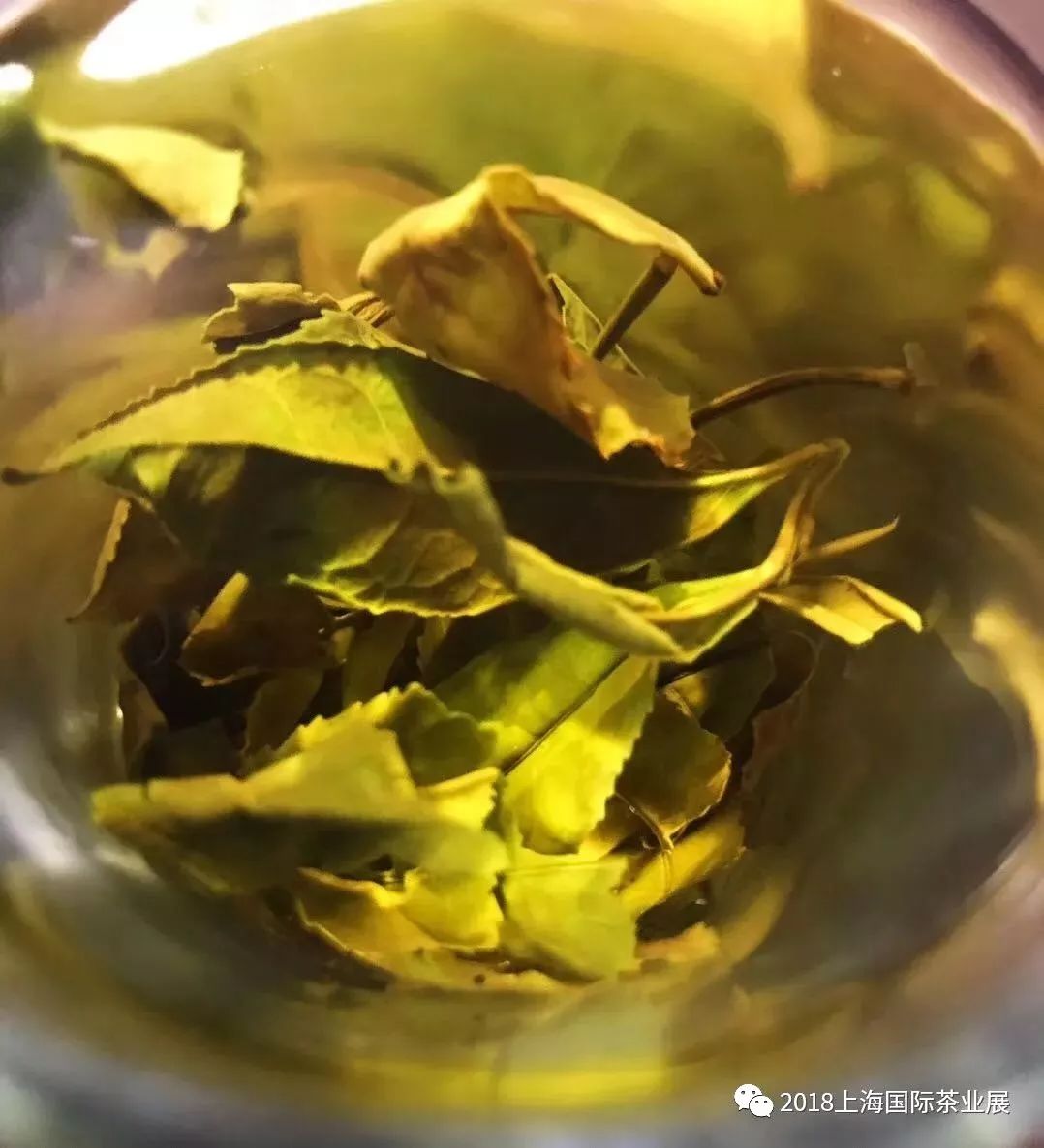 富硒藤茶价格是多少