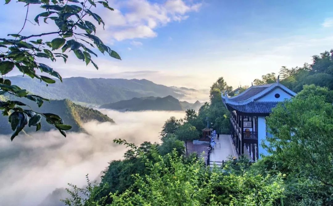 贵州富硒茶是那里的