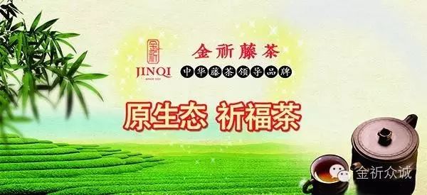 恩施富硒茶一茶一壶