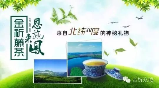 恩施富硒茶一茶一壶