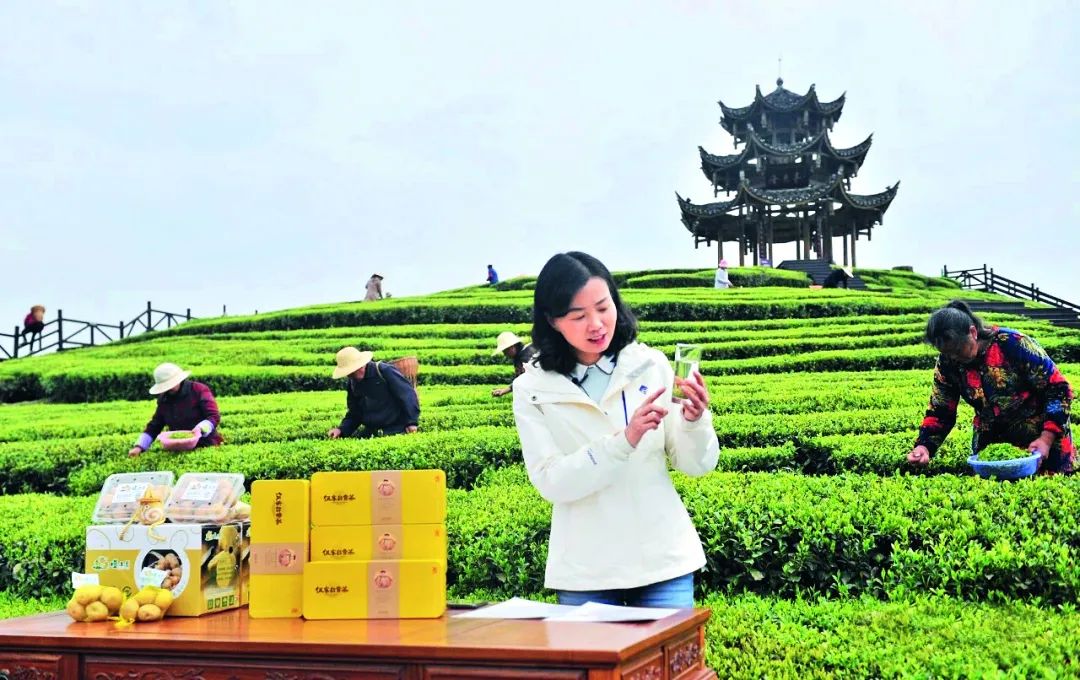 恩施州富硒茶的销路