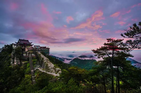 安徽仙寓山富硒野茶