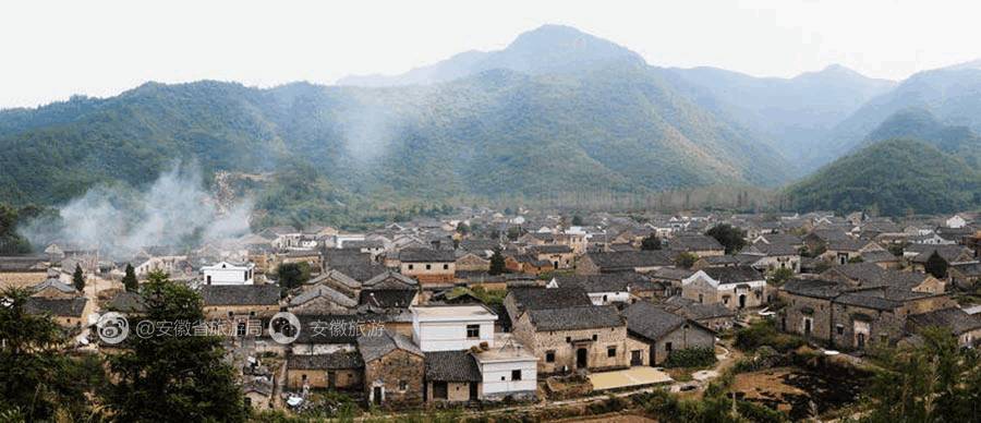 安徽仙寓山富硒野茶