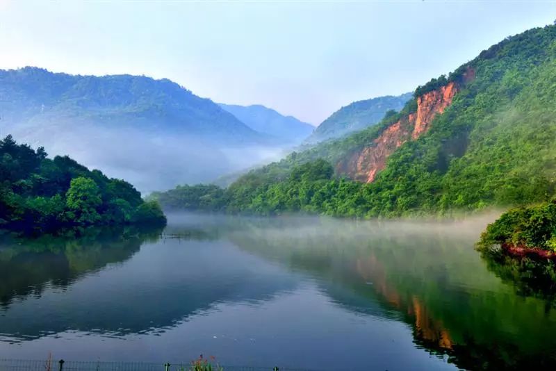 安徽仙寓山富硒野茶