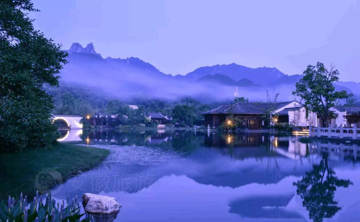 安徽仙寓山富硒野茶